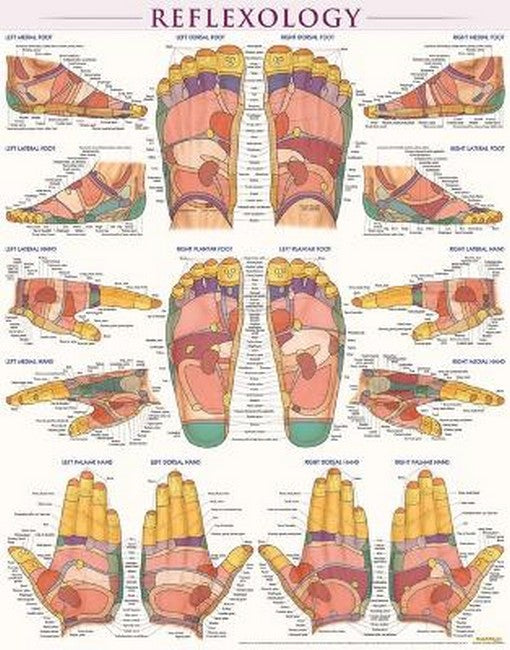 Reflexology-Laminated
