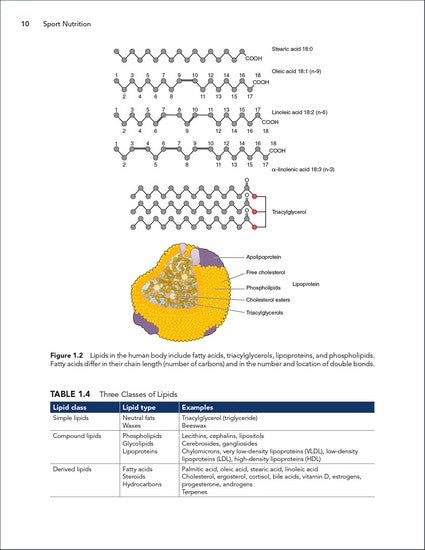 Sport Nutrition 4/e
