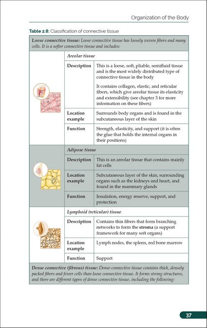 The Pocket Atlas of Anatomy and Physiology