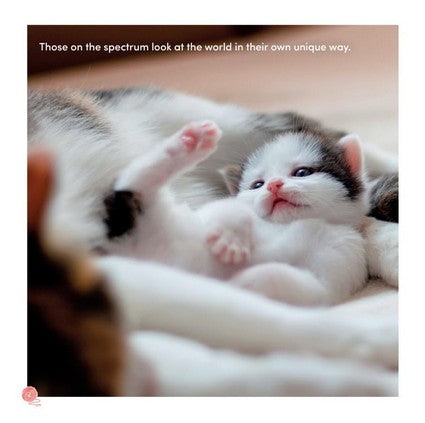 All Cats Are on the Autism Spectrum