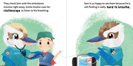 My First Emergency on the Ferry