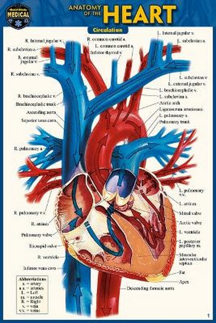 Anatomy of the Heart (Pocket-Sized Edition - 4x6 Inches) 2/e
