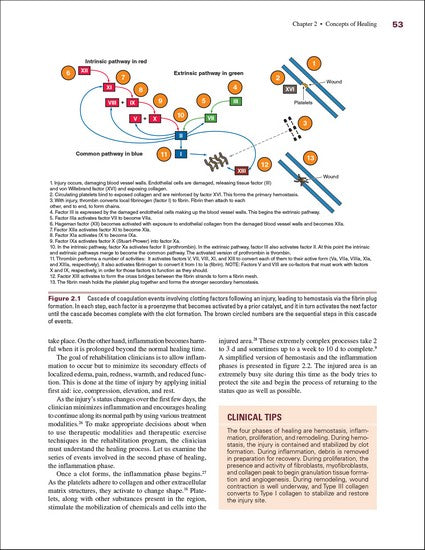 Rehabilitation of Musculoskeletal Injuries 5/e