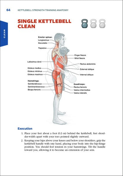 Kettlebell Strength Training Anatomy