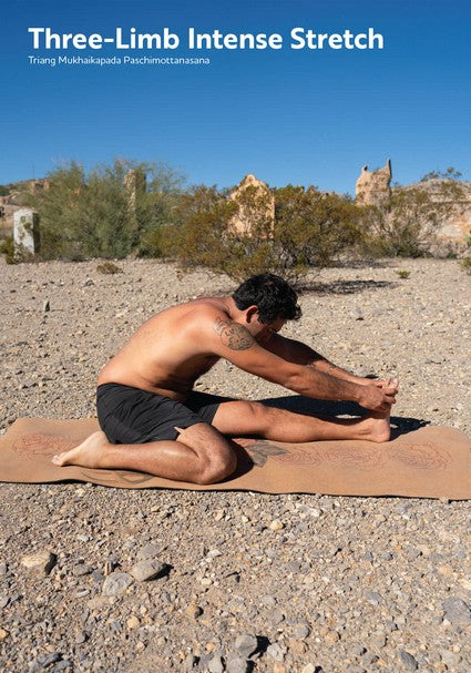 Foundational Yoga Flow