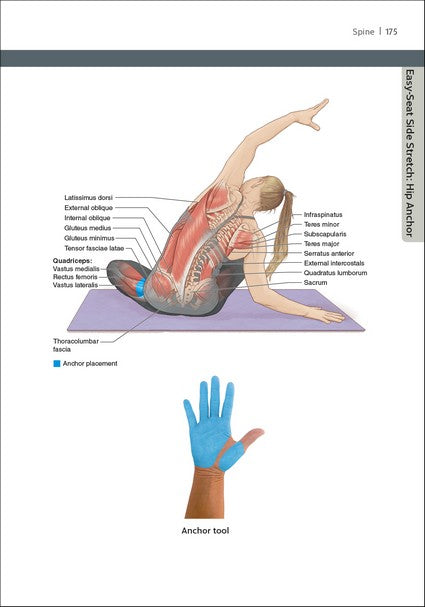 Hands-On Yoga Assists