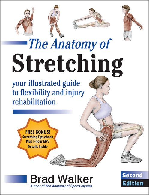 The Anatomy of Stretching 2/e