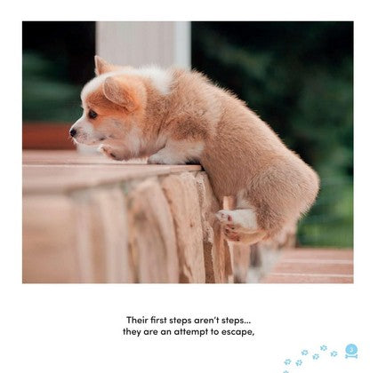 All Dogs Have ADHD 2/e
